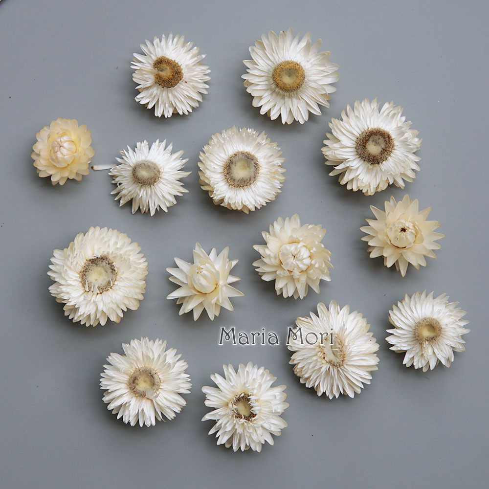 Natural Dried Colorful Chrysan - Baby Product recension och pris
